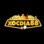 Xocdia