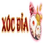 xocdiaonlinedesign