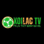 xoilactvaad