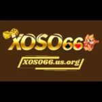 Xoso66