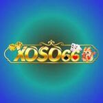 Xoso66 VND NET