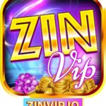 ZINVIP IO