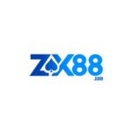 Zx8801com