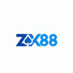Zx88vnnet